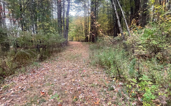 Hillcrest Road, Greenville