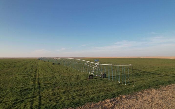 Pictures of Land property located at Part of Sections 218, 217, and 187, Block 1-C, GH&H Survey, Stratford, TX 79084 for sales - image #1