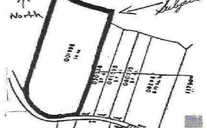 Fitzsimmons, Milan