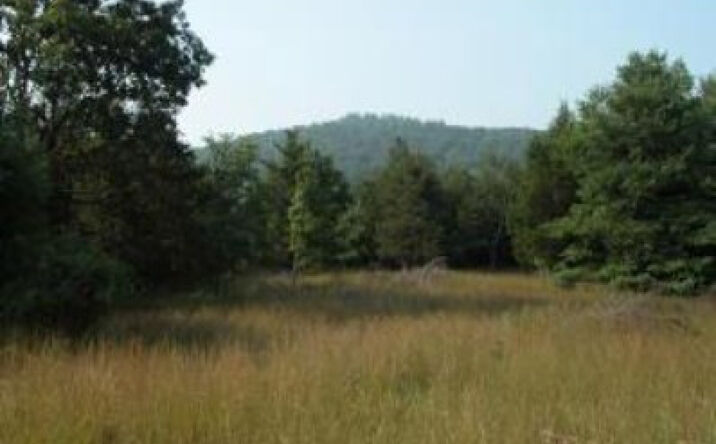 Lot 1 Turkey Hill Rd, Milan