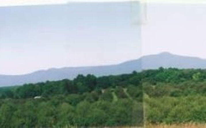 Rte 19, Livingston