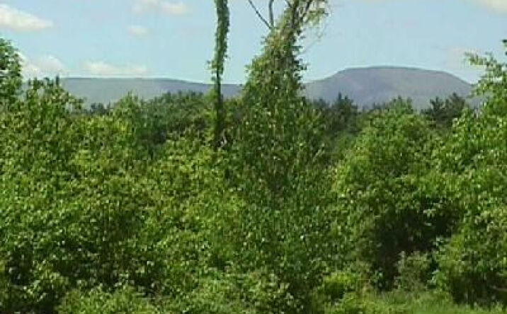 Schoharie Turnpike, Greenville