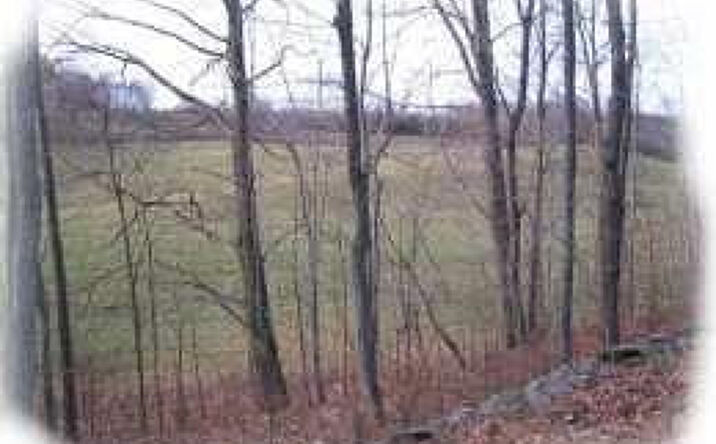 County Route 8, Livingston