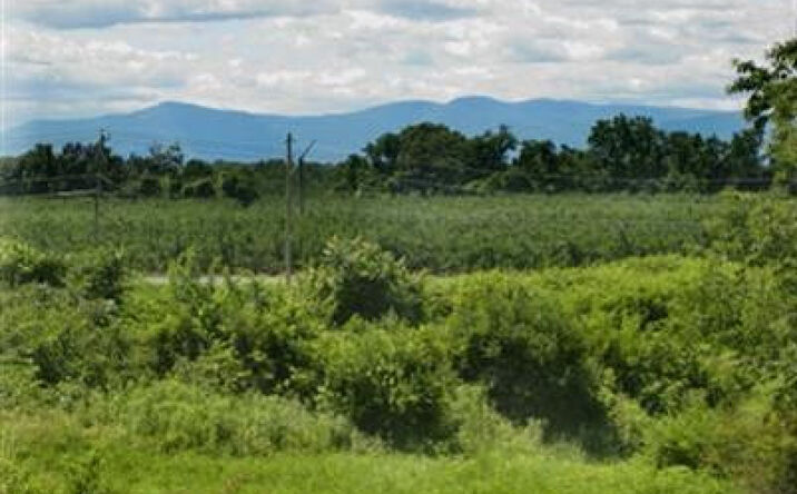 Vosburgh Road, Livingston