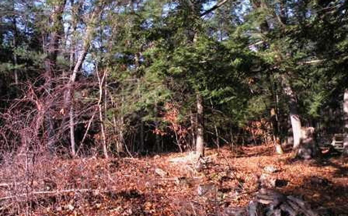 236 Falls Rd, Ghent