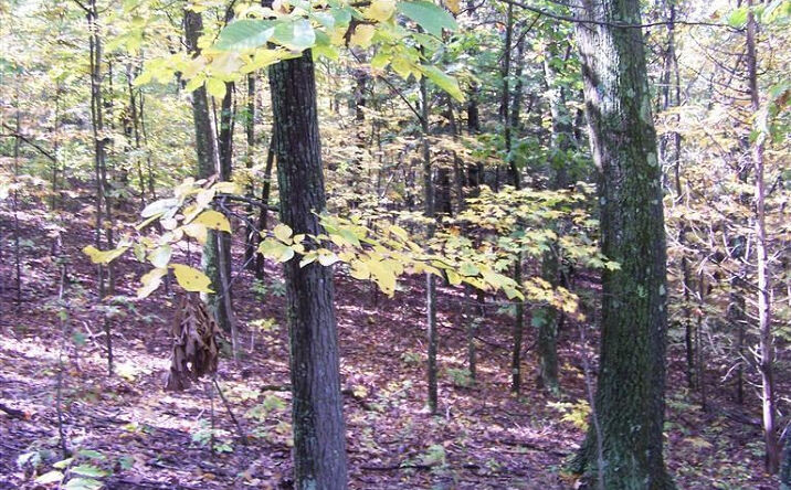 County Route 8, Livingston