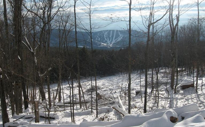 2 buckskin loop, Windham