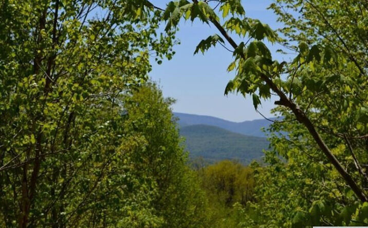 Top of Jennie Notch, Windham