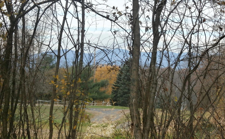 Viewmont Road, Germantown