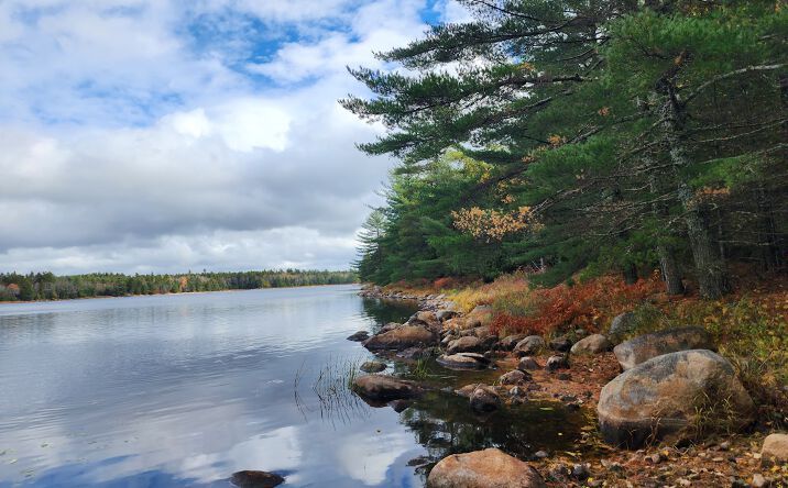 Pictures of Land property located at Northfield Road, Marshfield, ME 04654 for sales - image #1