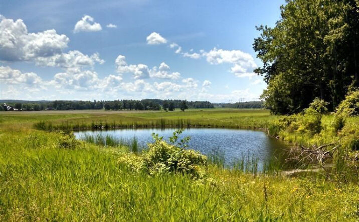 Cold Spring Road, Livingston