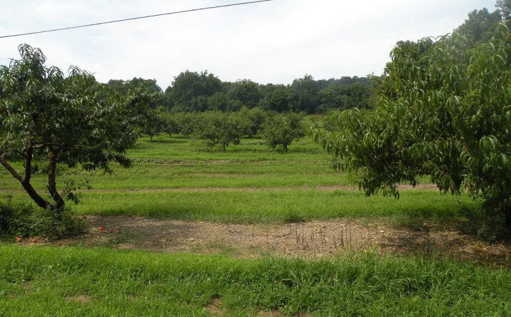 750 County Route 31, Livingston