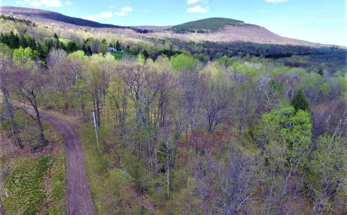 White Birch Lane, Windham