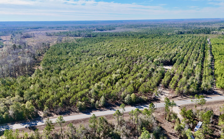 Pictures of Land property located at Bells Ferry Road, Lumber City, GA 31549 for sales - image #1