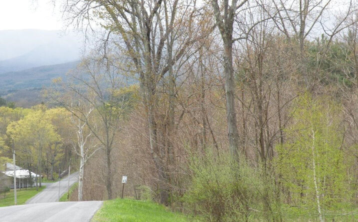 435 Red Mill Road, Greenville