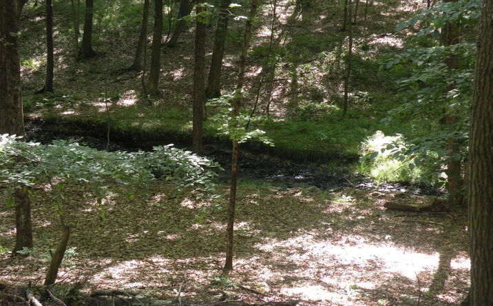 Camp Road, Gallatin