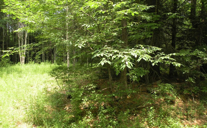 Begley Road, Windham