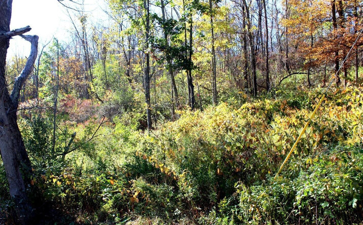 Saybrook Valley Road, Oak Hill