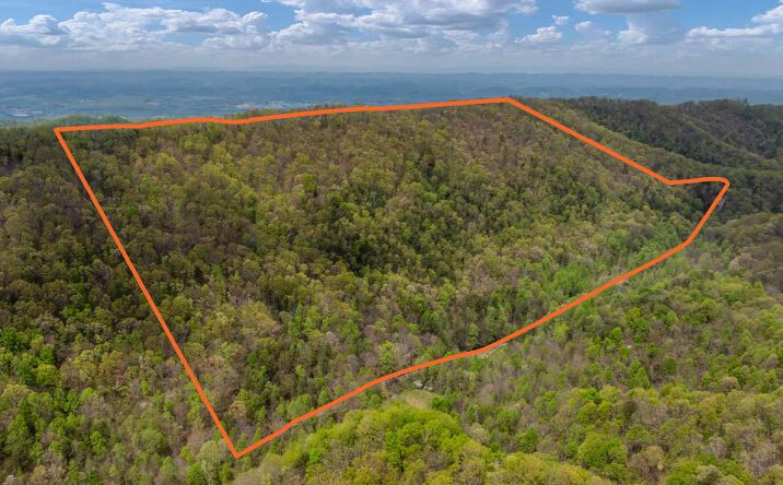 Pictures of Land property located at 1485 Barrett Hollow Road, Rogersville, TN 37857 for sales - image #1