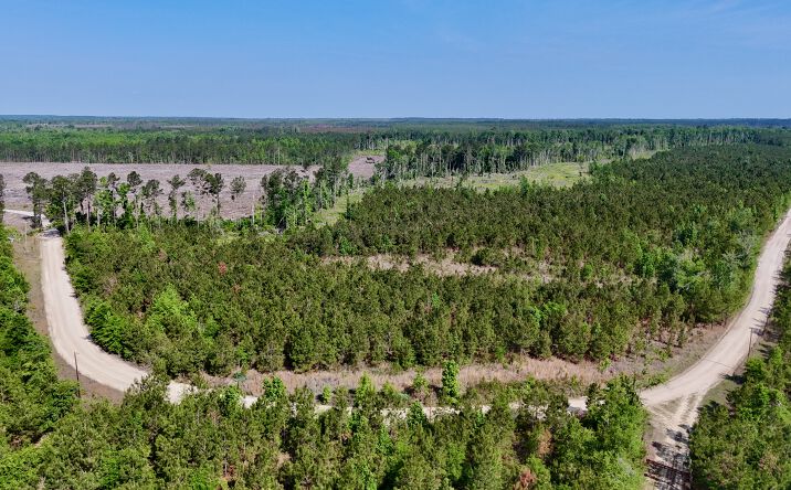 Pictures of Land property located at Tillman Cementery Road, Lumber City, GA 31549 for sales - image #1