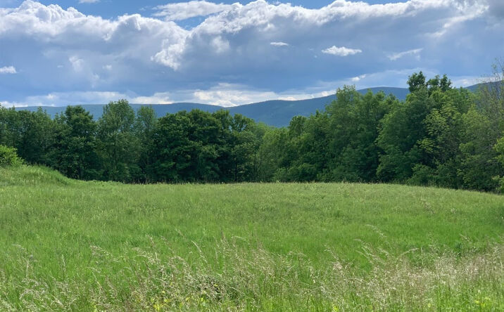 6181 County Route 23 C, Lexington