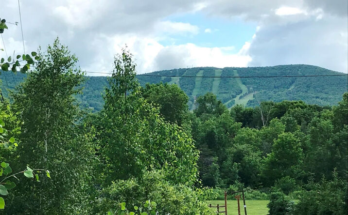 190 Mitchell Hollow Road, Windham