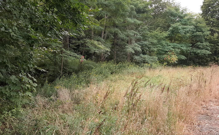Route 145, Durham
