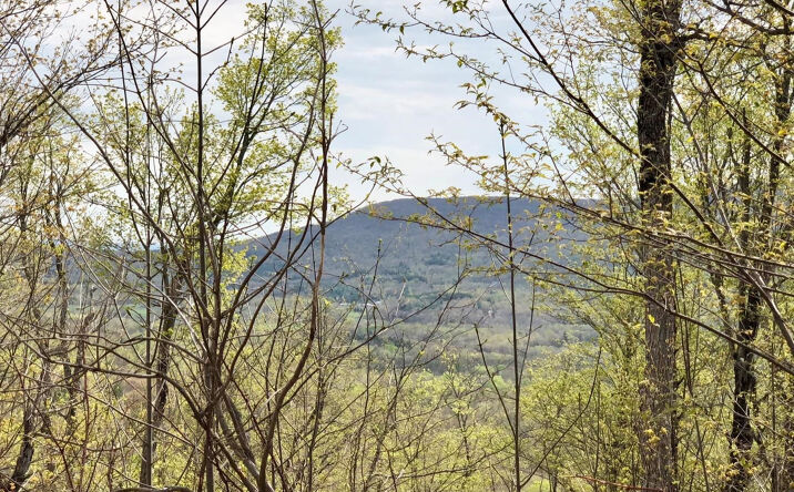 County Route 10, Windham