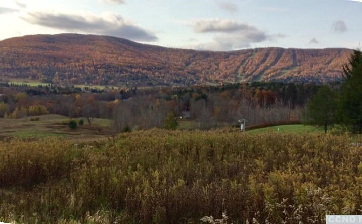 Vining Road, Windham
