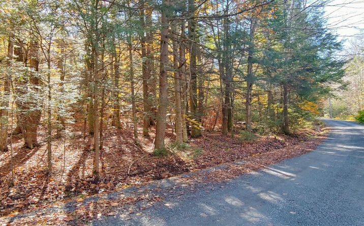 Cardinal Drive, Windham