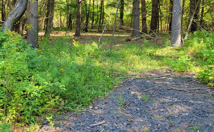Drake Hill Road, Greenville