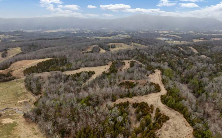 Afton, Tennessee (Long Fork Creek frontage along southern boundary), Afton
