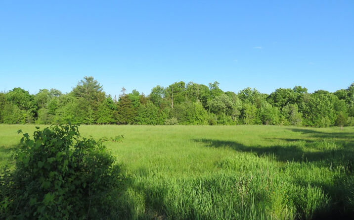 CR 411 (Newry Road, Greenville