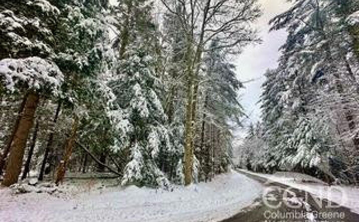 Stewart Drive, Windham