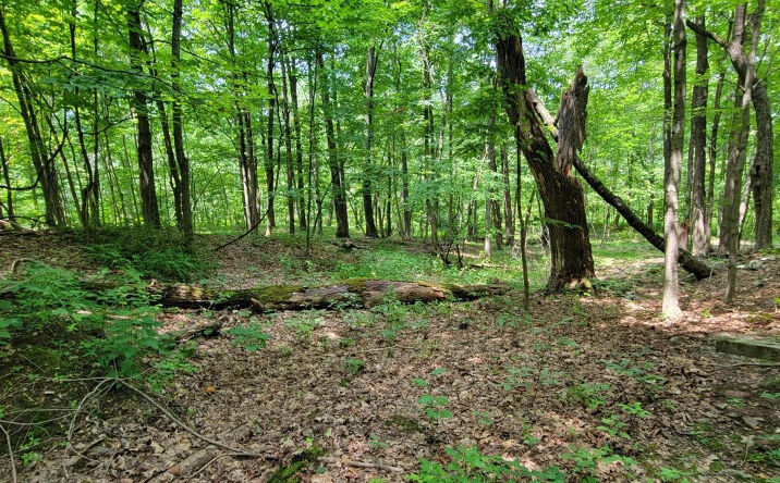 Benton Rd Road, Gallatin
