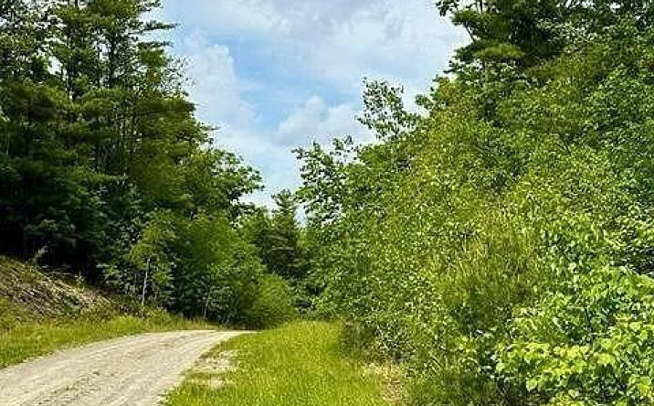 - lot #22 Old Ghost Road, Canaan