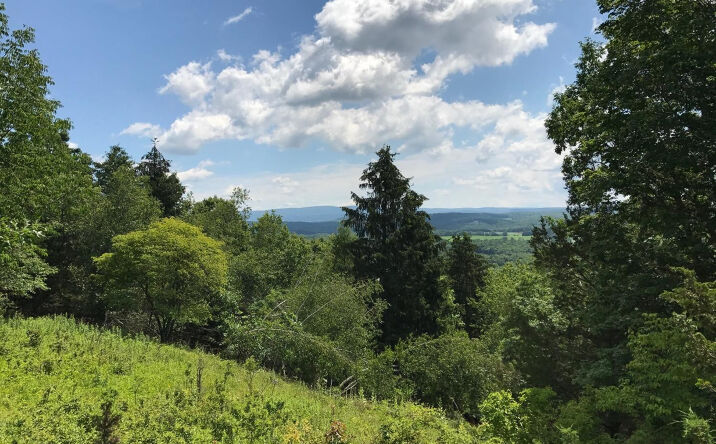 Pictures of Land property located at County Rte 7, Ancram, NY 12567 for sales - image #1