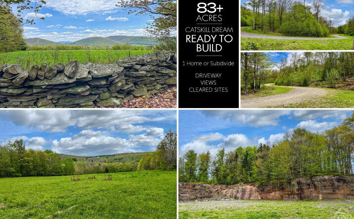 Pictures of Land property located at State Highway 28, Andes, NY 13731 for sales - image #1