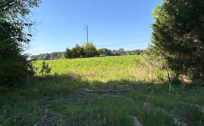 Pictures of Land property located at Tract 1 120 Popham Road, Taylorsville, GA 30178 for sales - image #1