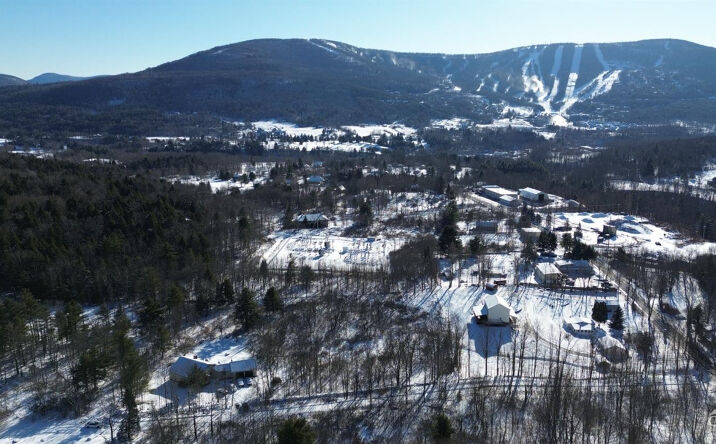 Pictures of Land property located at Trail View Lane, Windham, NY 12496 for sales - image #1