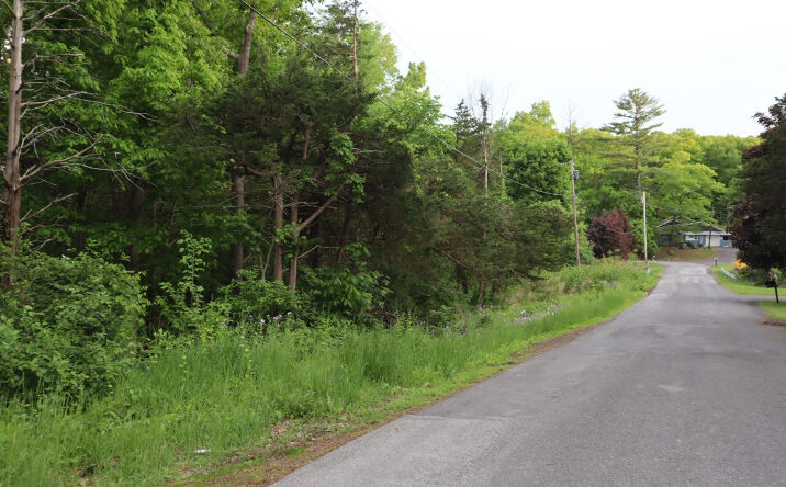Pictures of Land property located at Route 23, Cairo, NY 12058 for sales - image #1