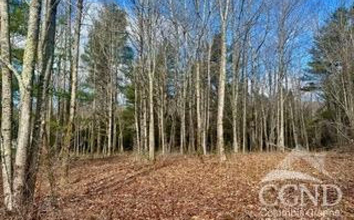 611 Old Road, Windham
