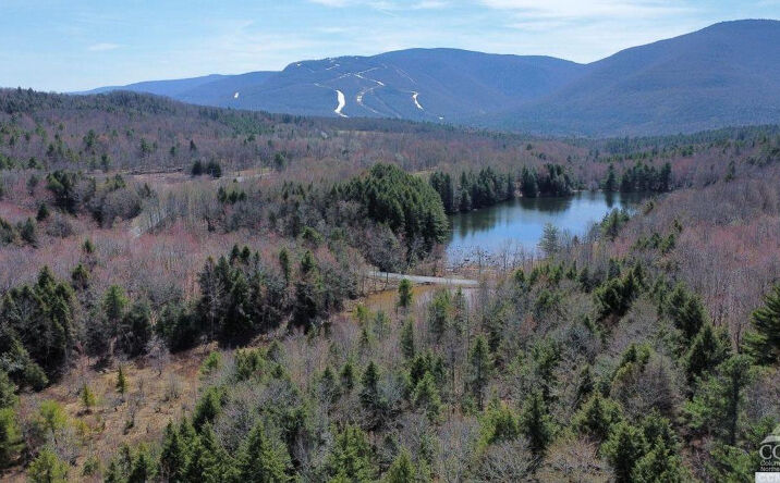 Pictures of Land property located at Ford Hill Road, Jewett, NY 12444 for sales - image #1