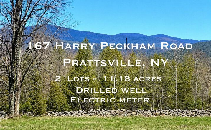 Pictures of Land, Special Purpose property located at 167 Harry Peckham Road, Prattsville, NY 12468 for sales - image #1