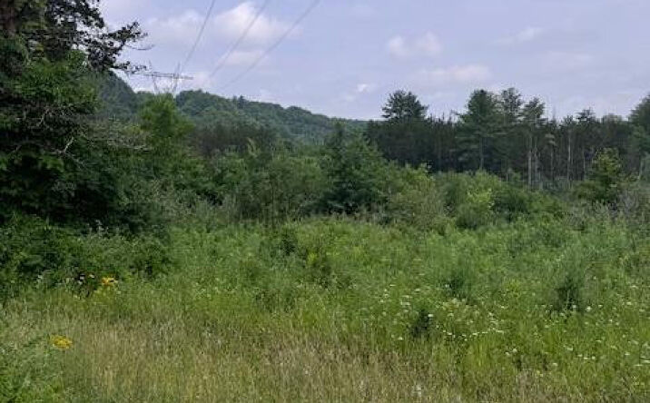 597 Vosenkill Road, Athens