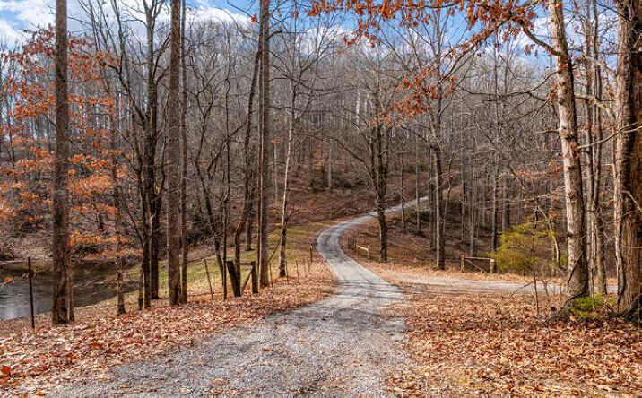 Pictures of Land property located at 393 Holt Ridge Road, Tazewell, TN 37879 for sales - image #1