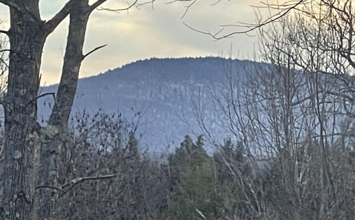 Pictures of Land property located at 309 Goshen Street, Jewett, NY 12444 for sales - image #1