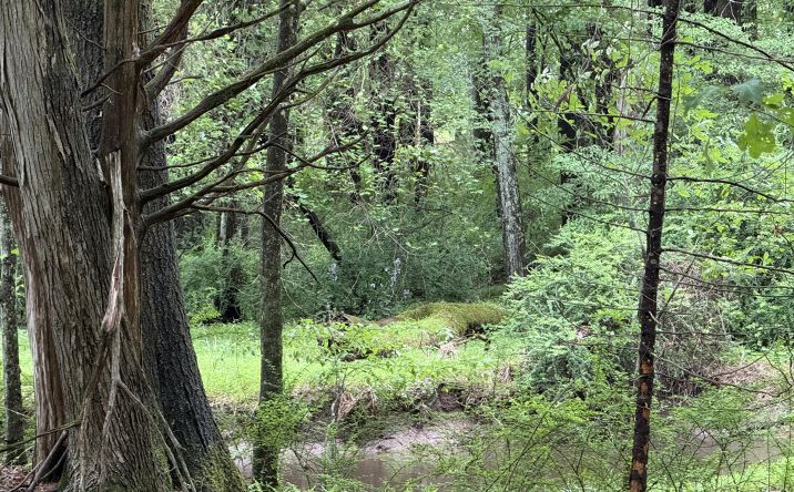Pictures of Land property located at Whites Lane, Woodstock, NY 12498 for sales - image #1