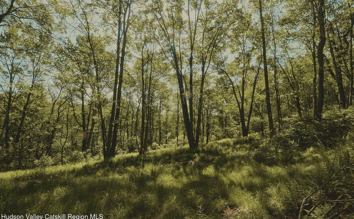 Pictures of Land property located at Benton Hollow Road, Liberty, NY 12754 for sales - image #1