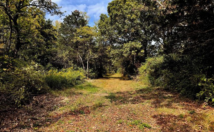 Pictures of Land property located at Lot 7 Stickles Road, Hudson, NY 12534 for sales - image #1